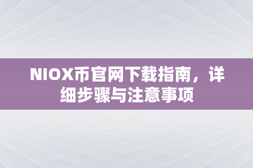 NIOX币官网下载指南，详细步骤与注意事项